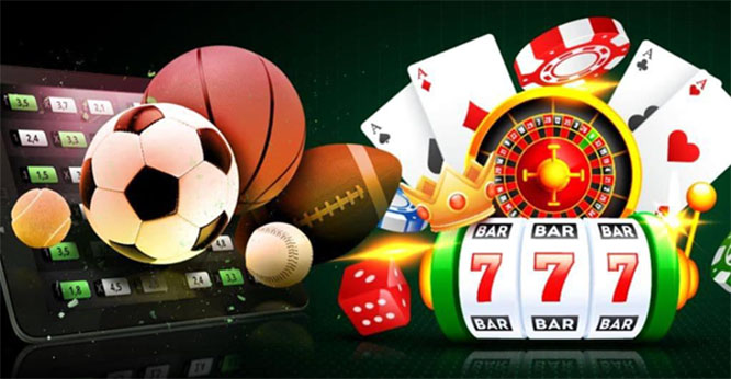 Top Crash Game Casinos With Daily Multipliers 13