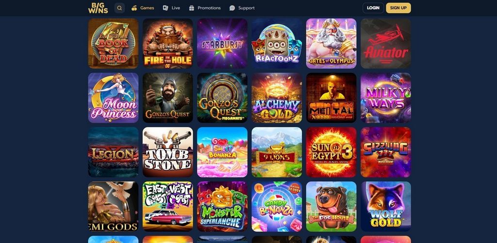 BigWins Gambling Establishment Review 2025 - Exclusive Reward & Gamings
